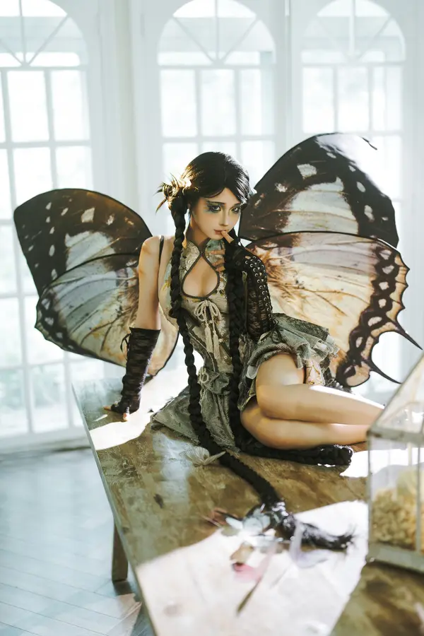 蠢沫沫《枯叶蝶》